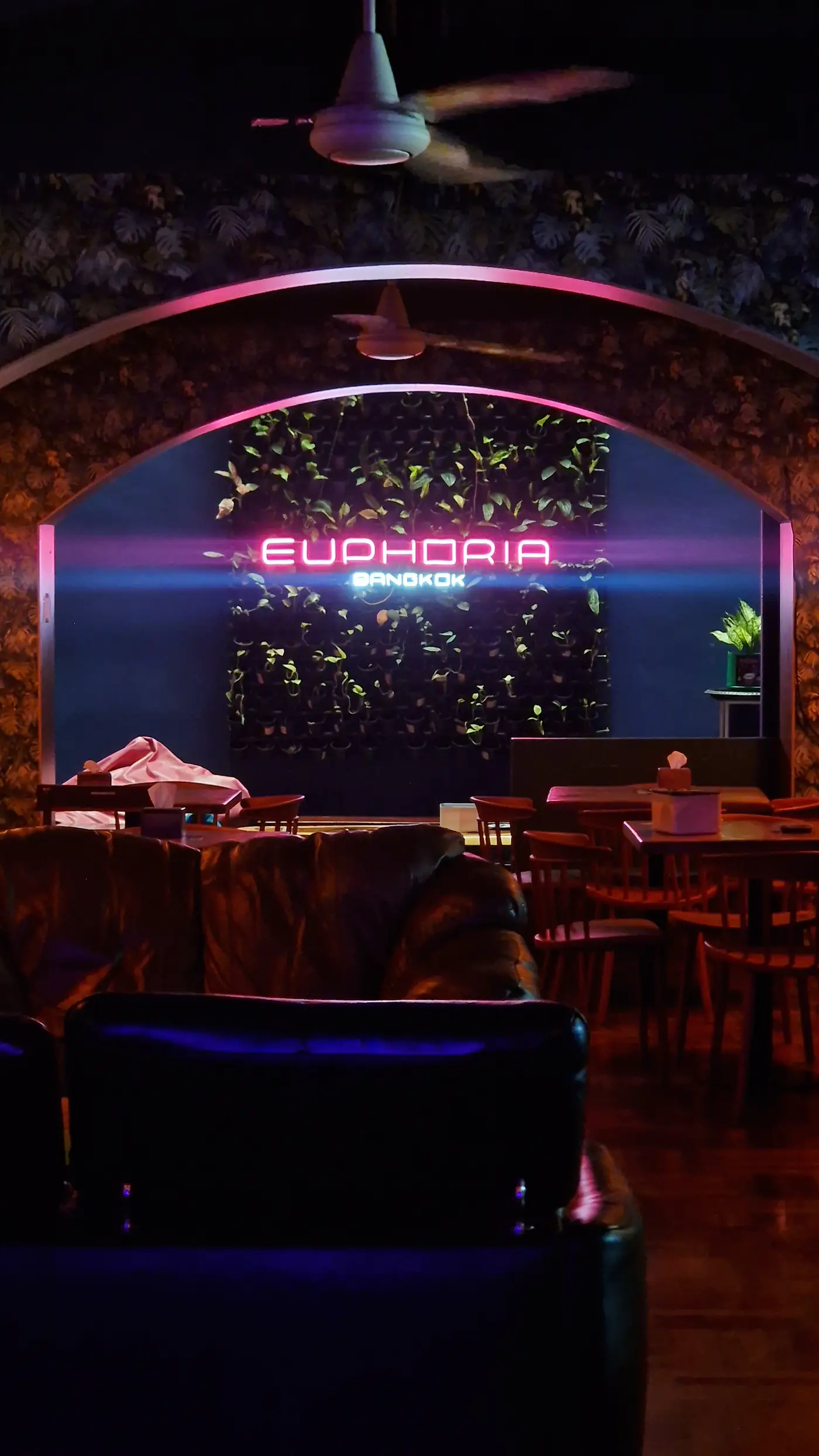 Euphoria lounge venue interior