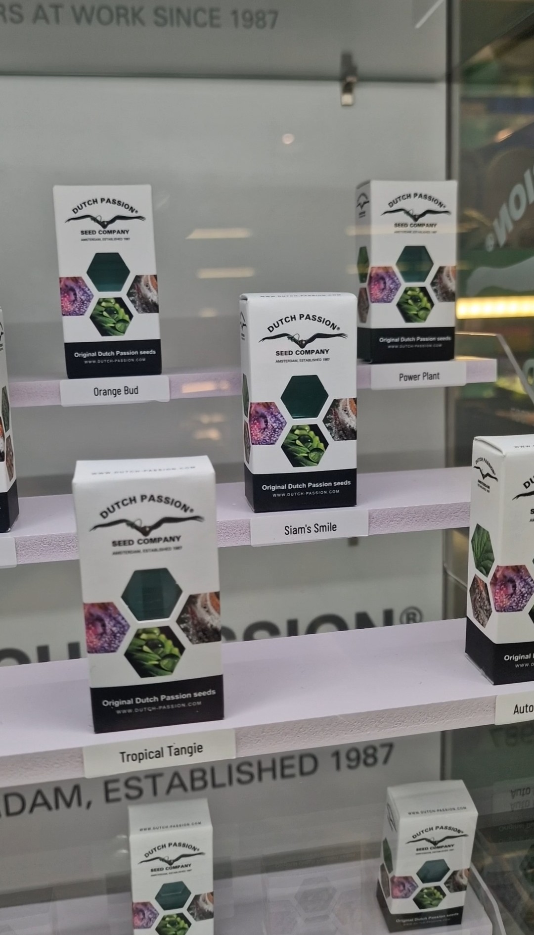 HighCraft cannabis seeds collection